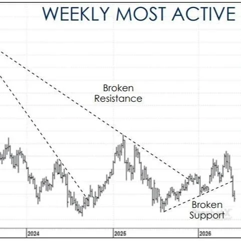 Market Update for Corn, Soybeans, Rice, and Cotton: June 2026