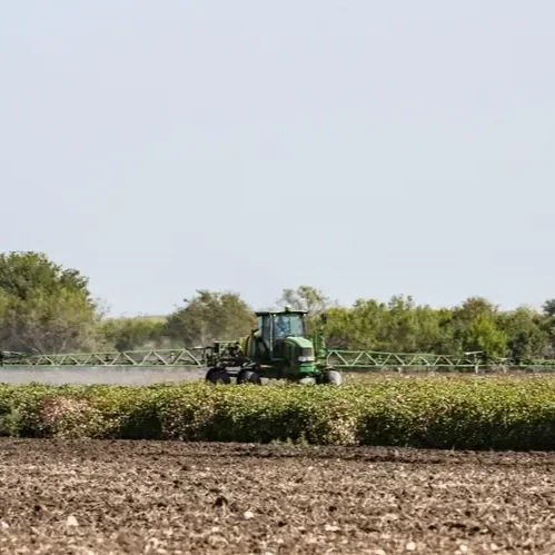 The Evolving Southern Crop Problem