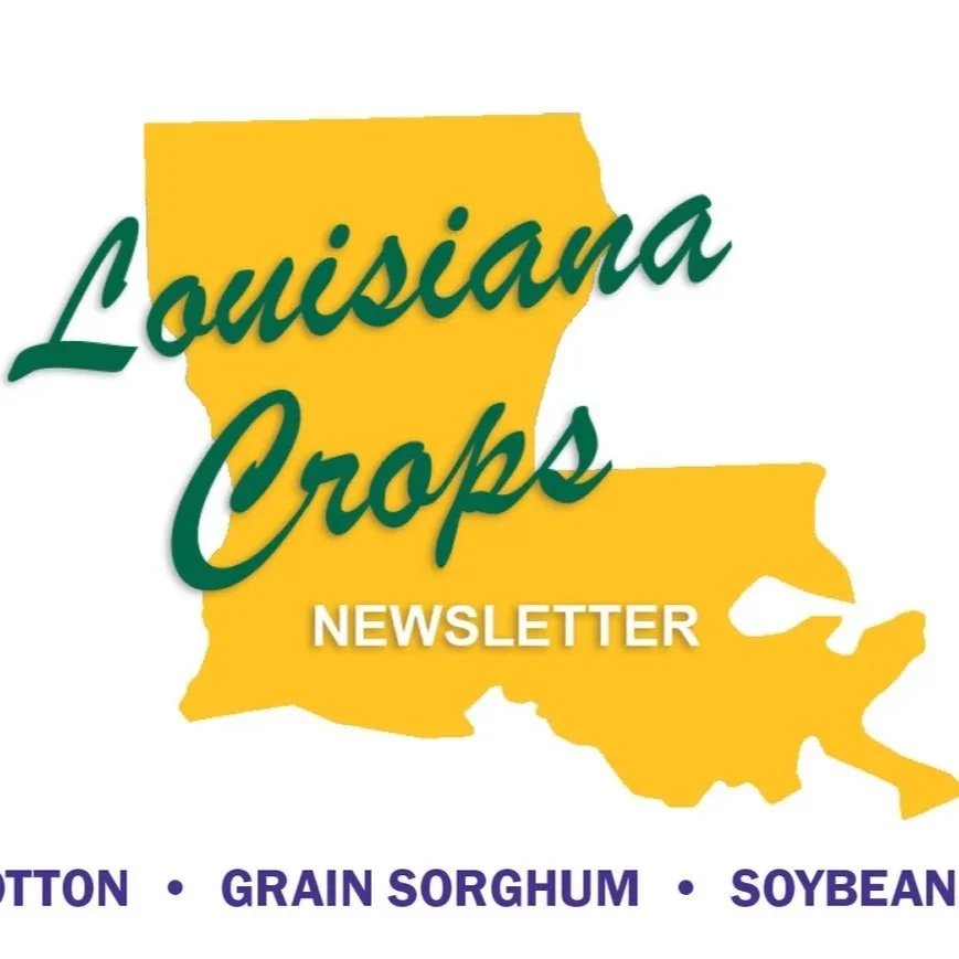 Louisiana Crops Newsletter--Volume 16, Issue 4 - June 2026