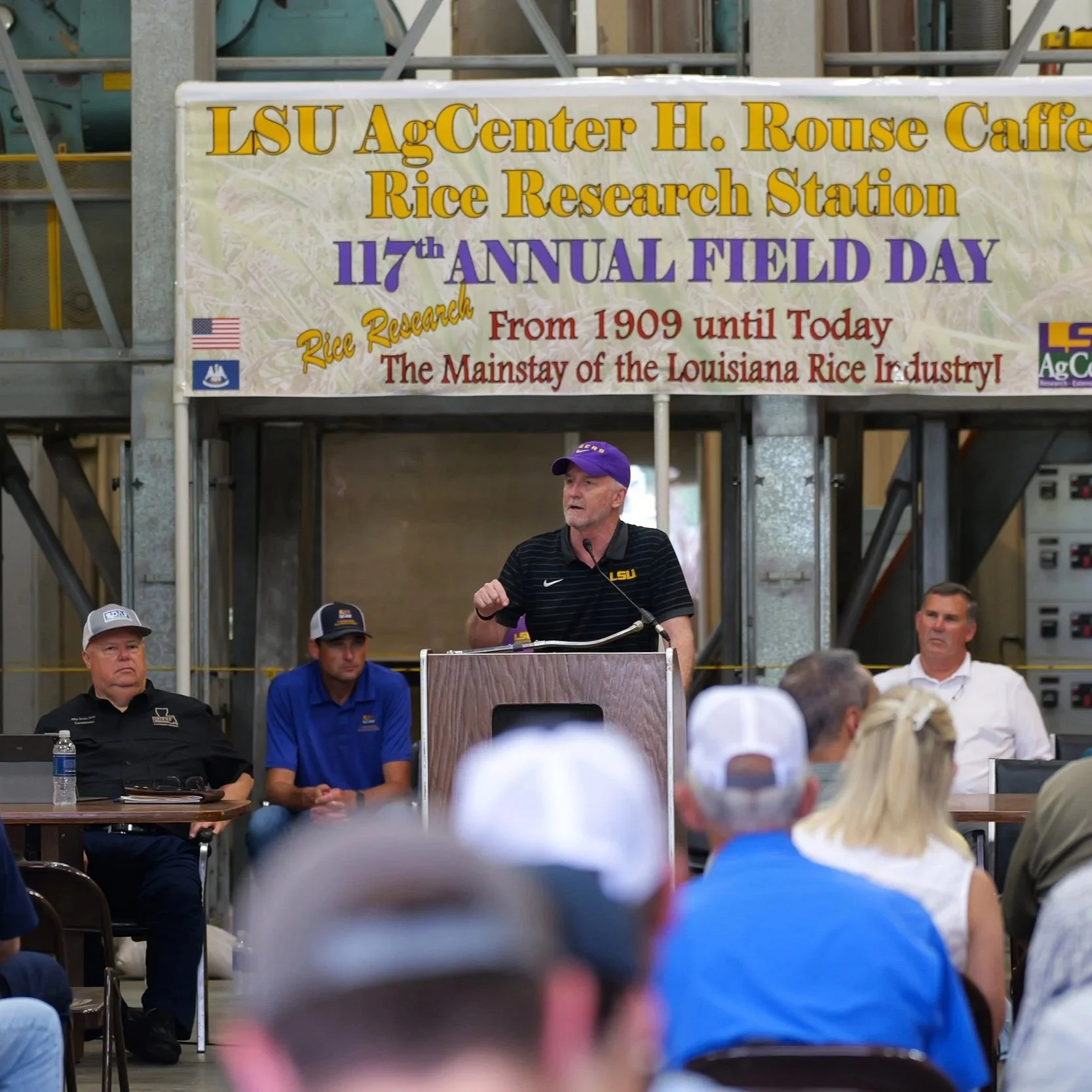 At Rice Field Day, AgCenter Debuts Two Promising New Varieties
