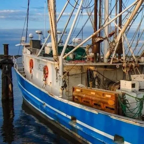 Shrimp Mislabeling Rate Rises in New Orleans Restaurant Testing