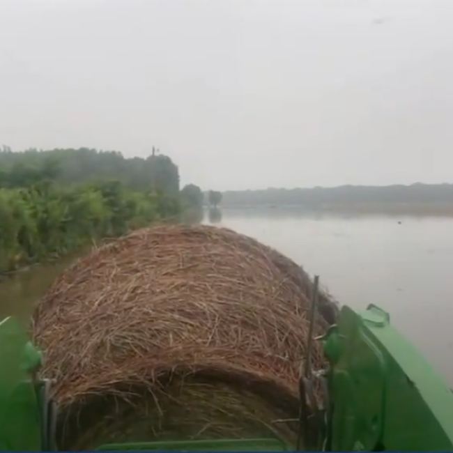 Farmers in Avoyelles Parish Lose Crops, Livestock in Flooding From Tropical Storm Arthur