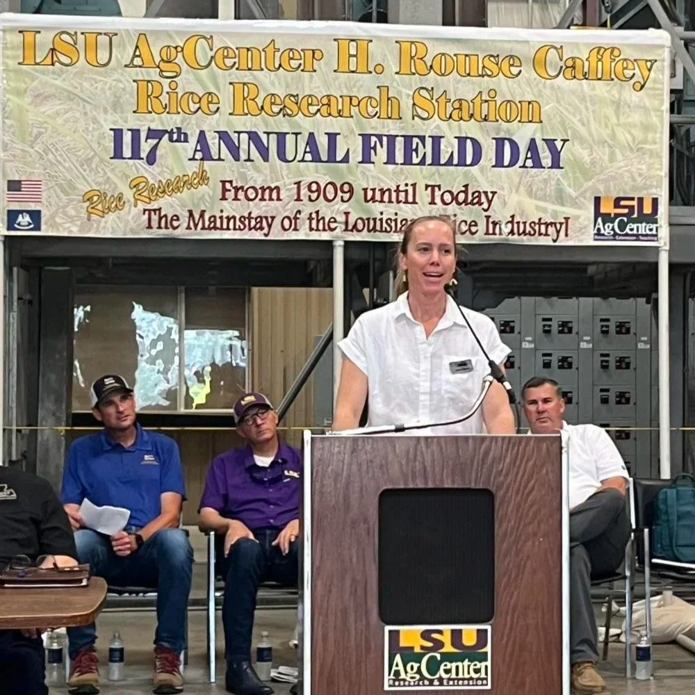 Innovations, Updates, and Awards Abound at Rice Field Days in Louisiana