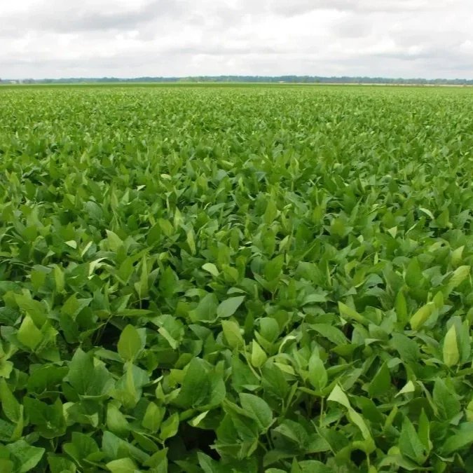 Farmers Applaud Executive Order to Suspend Tariffs on Fertilizer