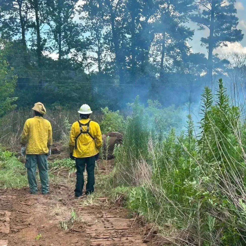 Firefighters Respond to Brush Fire in Natchitoches Parish