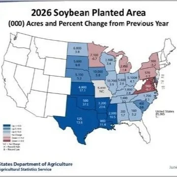 Agricultural Policy and Market Situation Newsletter: July 2026