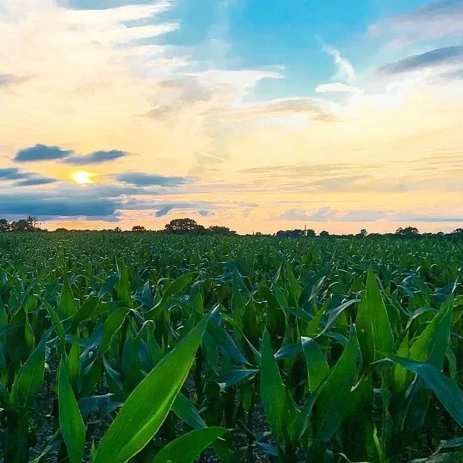 Farmers Appreciate EPA Approval of New Tools