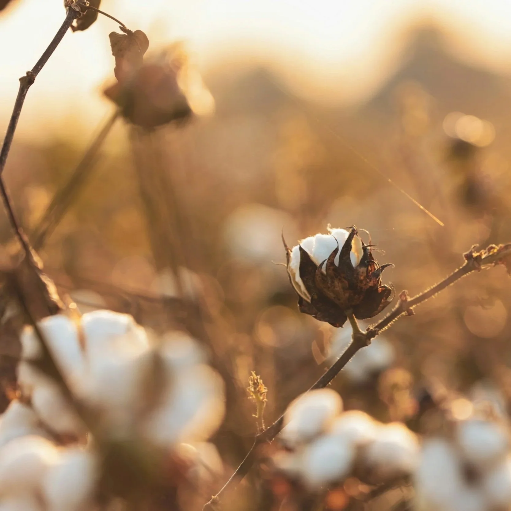 Producers Endure Costly Input Price Spikes In 2026