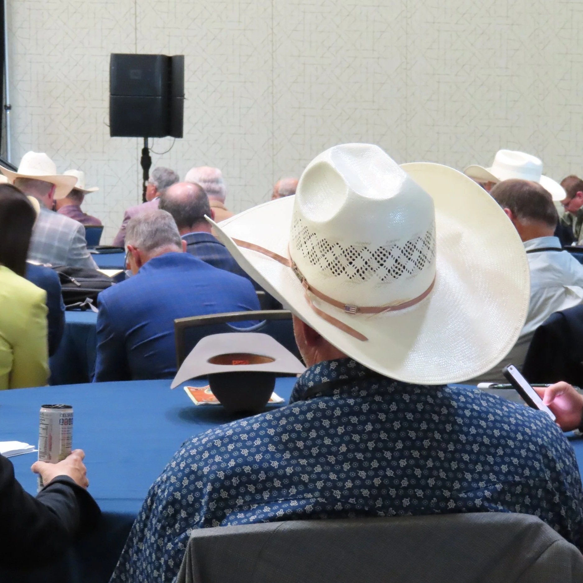 Positive Outlook For Cattle Business As Summer Business Meeting Concludes