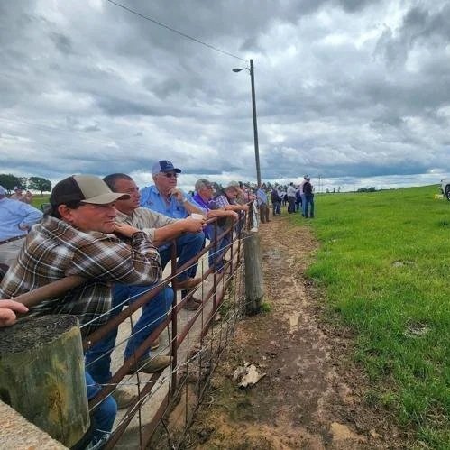 'Seeing is Believing': New tech, Methods Could Make NWLA Farmers More Money