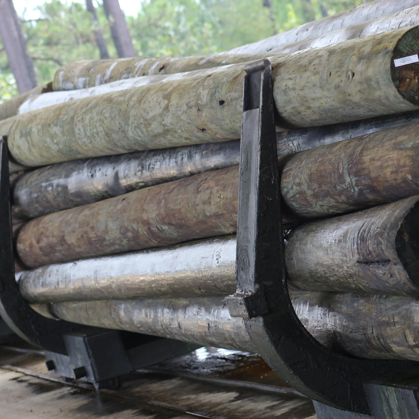 Hardwood Saw Mill Reopens Under New Ownership