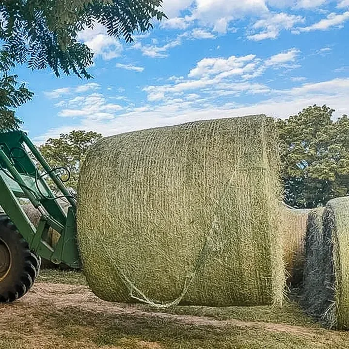 What to Check First When Floodwaters Recede From Your Hayfields