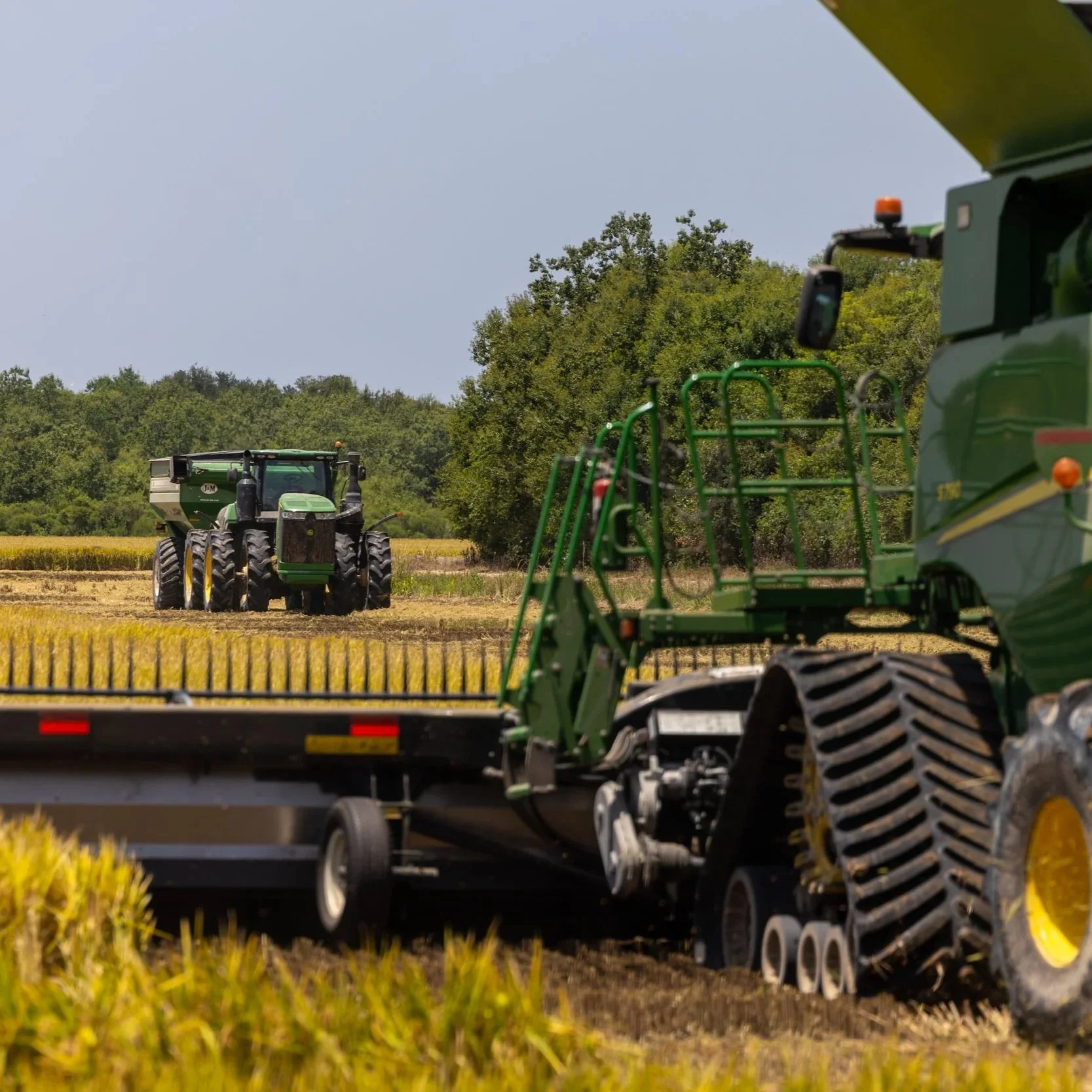 Good Yields, Weak Prices Define Louisiana Rice Harvest
