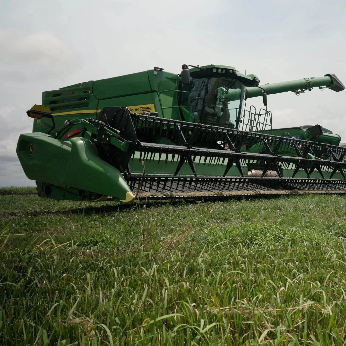 Louisiana Rice Growers Pressured by Rising Costs