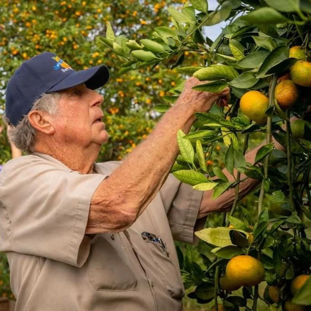 Plaquemines Parish citrus farmer Ben Becnel Sr. dies at 83