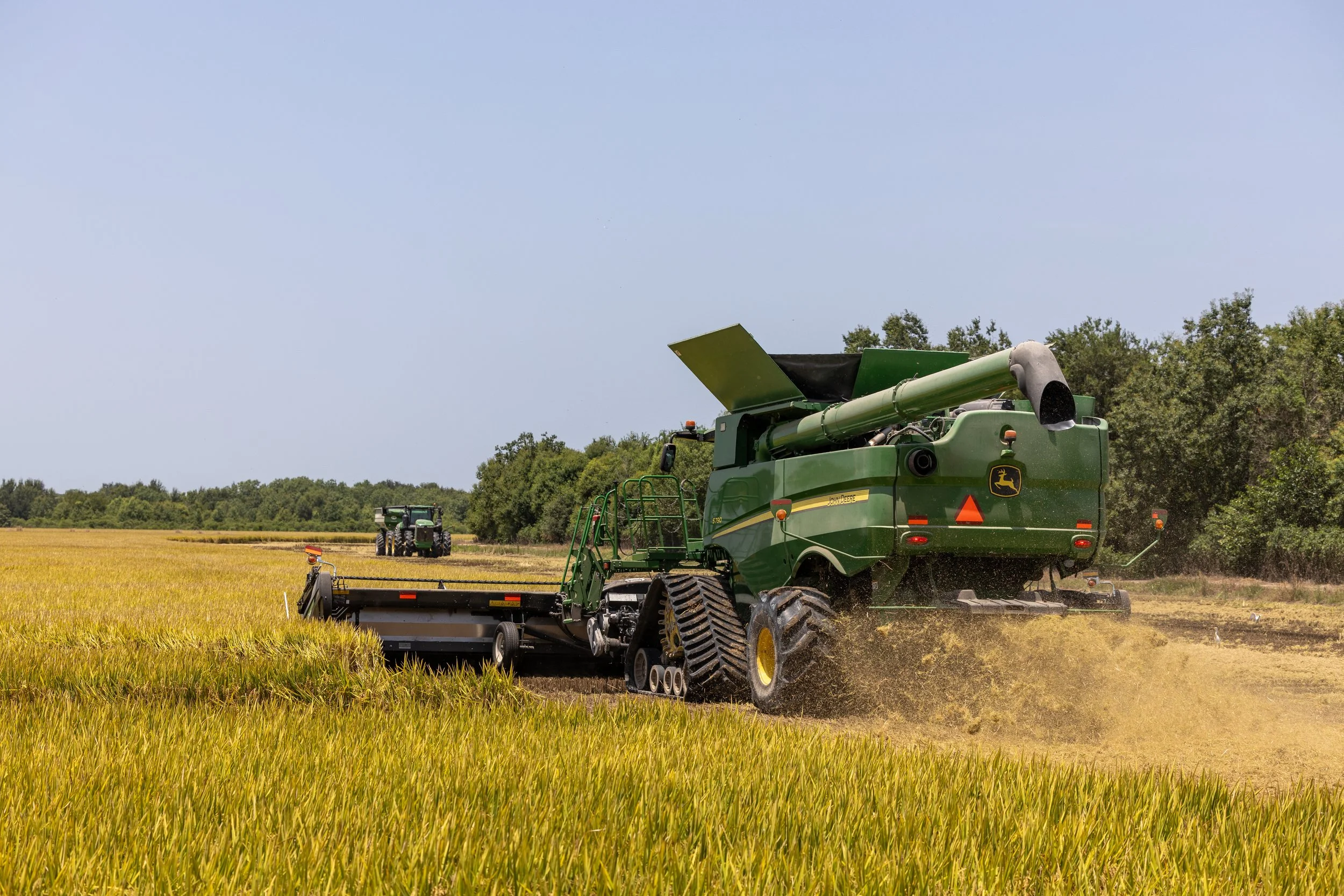 RiceHarvest_FreyCormier_13 (1).jpg