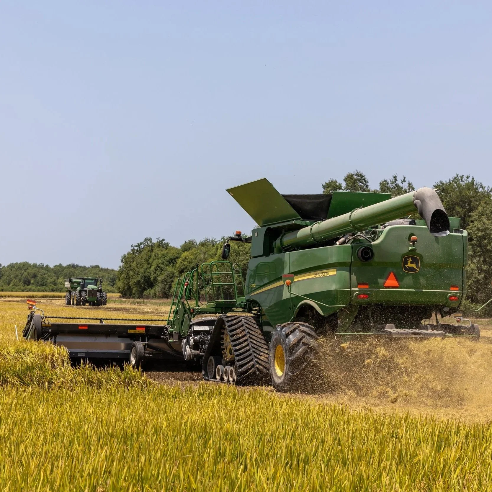 The Price of Rice: Why a Good Crop Does Not Always Mean Strong Returns