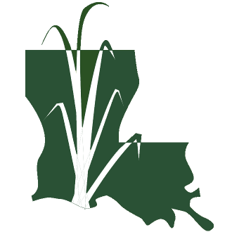 A Common Goal Connects The Louisiana Sugarcane Inustry