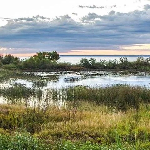 USDA Clarifies Wetland Determinations to Provide Certainty to Farmers
