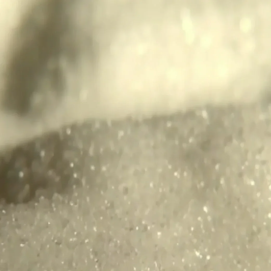 American Sugar Producers Push for Fair Trade as Consumer Habits Shift