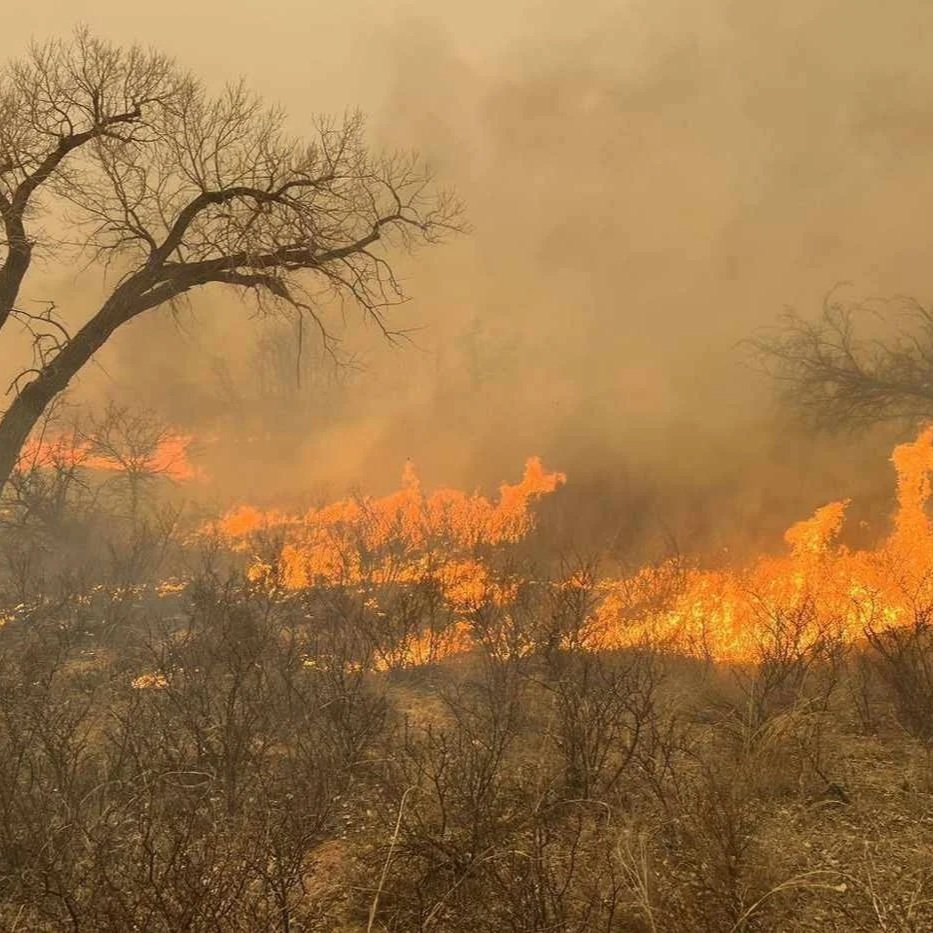 Burn Bans Across the ArkLaTex