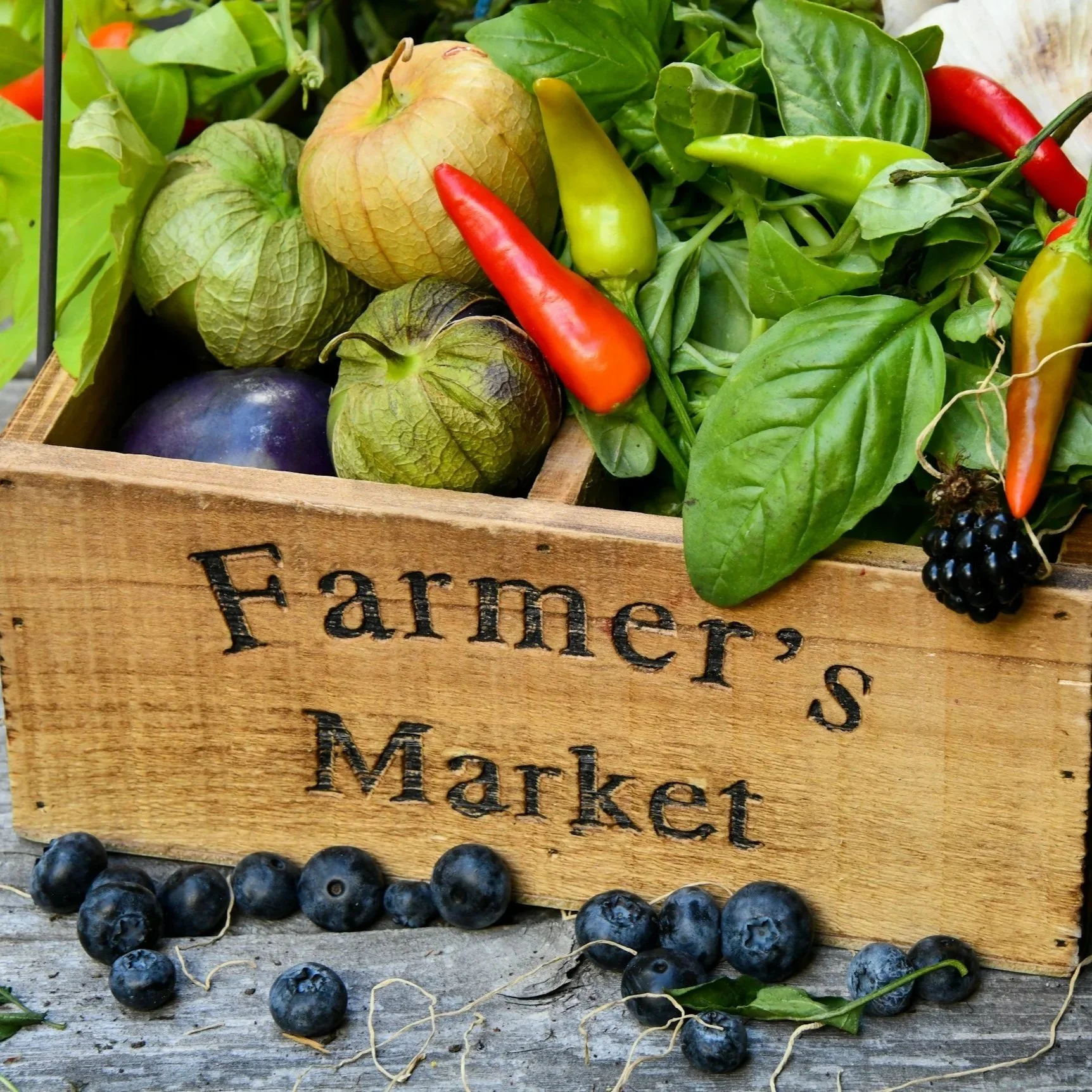 National Farmers’ Market Week Highlights the Impact of Local Growers