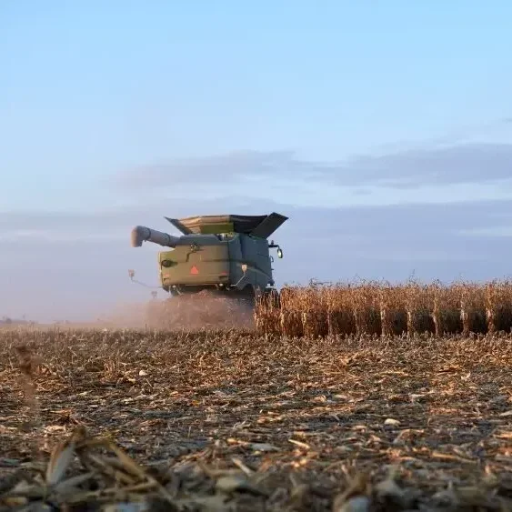 USDA August WASDE Calls for Lower Yields, Higher Harvested Area for Corn and Soybeans
