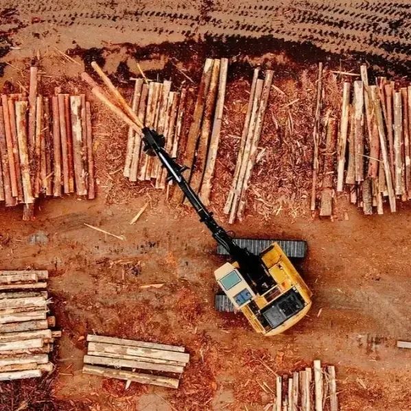 Op-Ed: Louisiana’s Timber Industry Needs a New Path