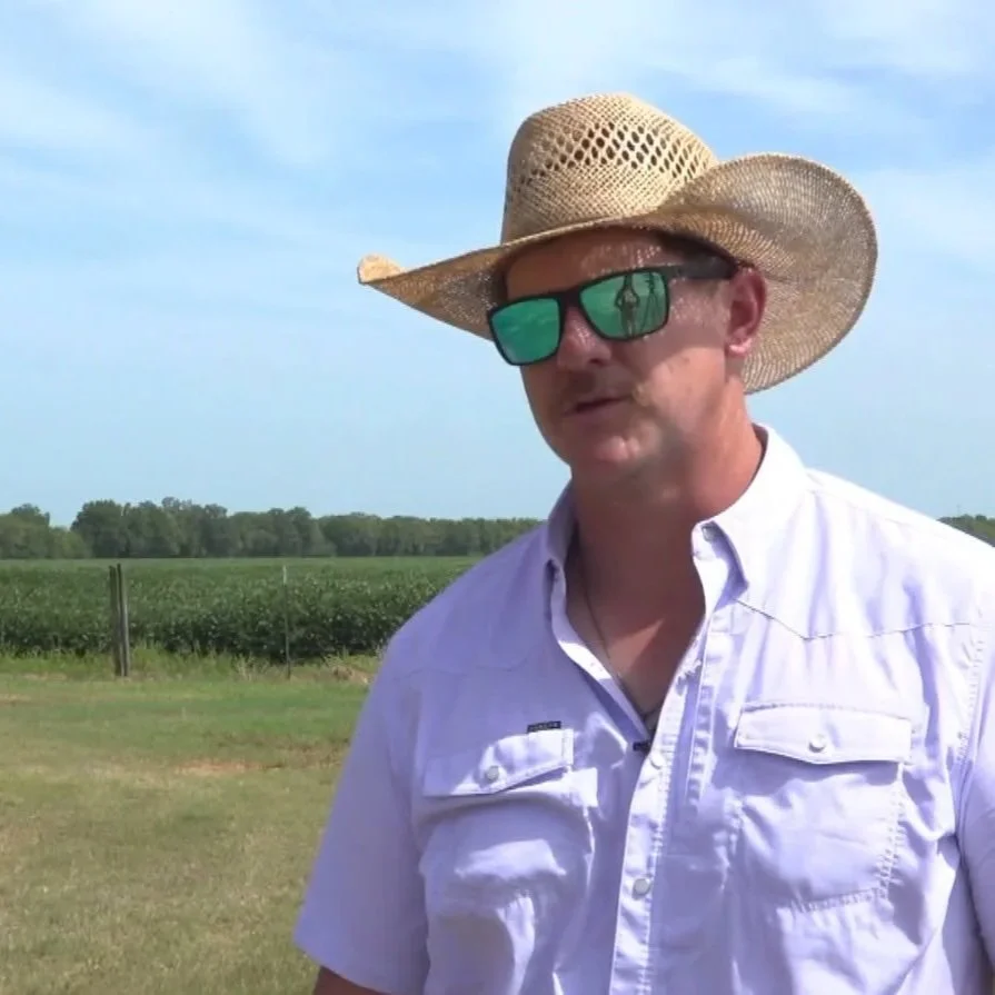 How Cenla Farmers Manage Crops, Livestock in Extreme Heat