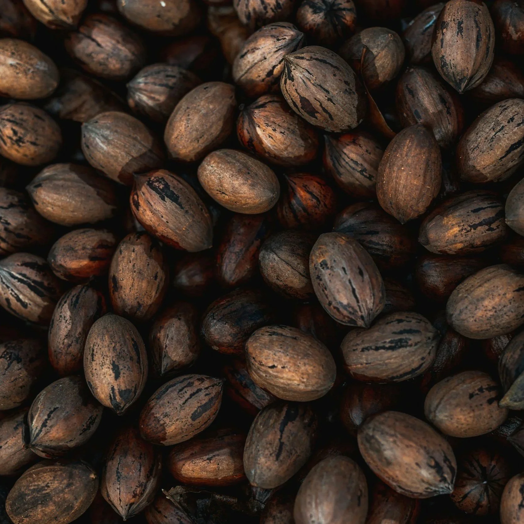 USDA Announces $2M to Help U.S. Tree Nut Producers Overcome Barriers to Overseas Trade