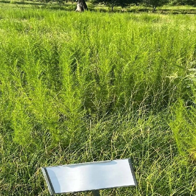 Delta Rancher Newsletter: August 2026