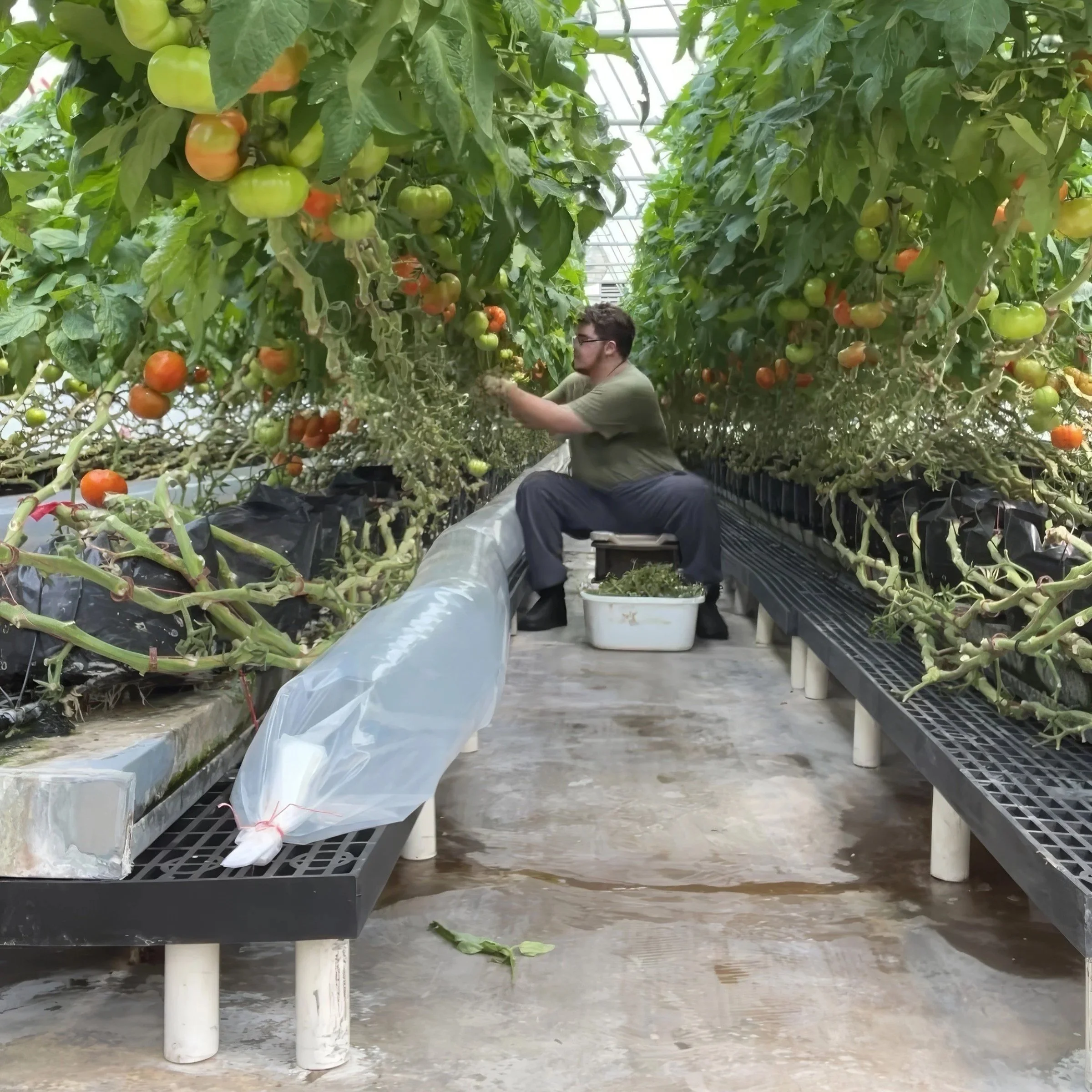 Summer of growth: LSU AgCenter Interns Discover Careers Through Extension