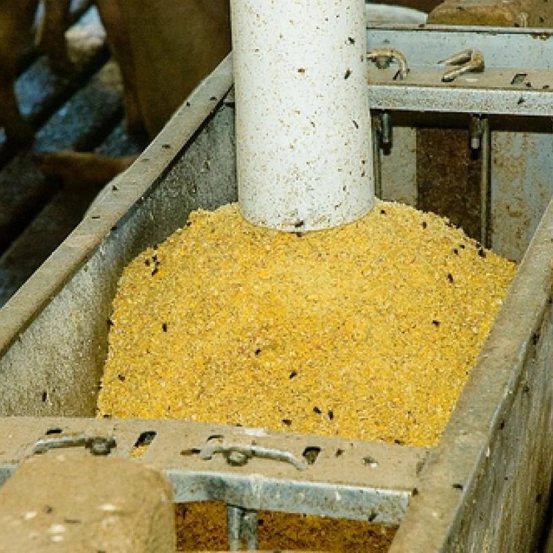 Soy Checkoff Invites Farmers to Prove the Quality of their Crop