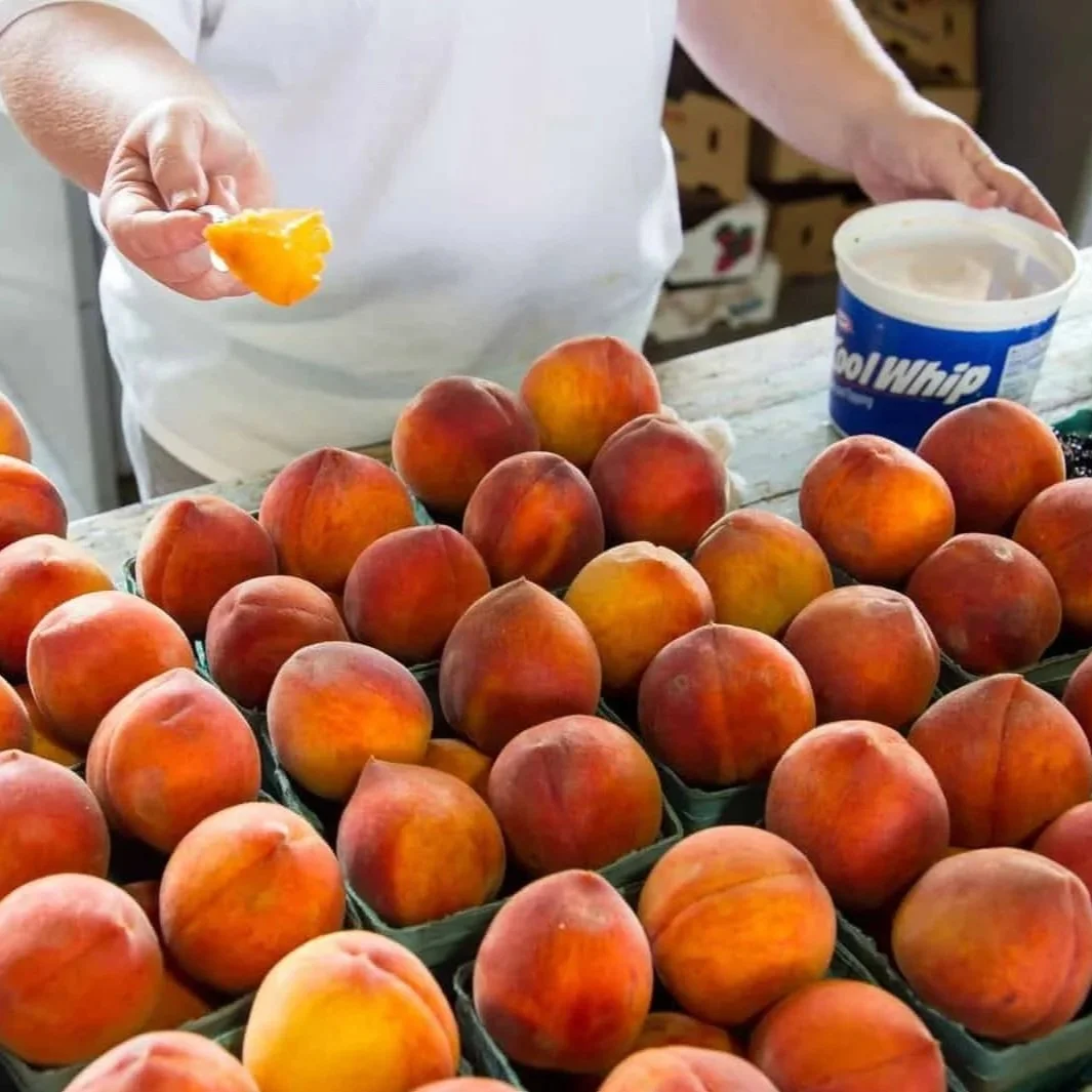 Ruston, Louisiana, Has 22,000 Residents—Yet It Grows More Peaches per Person Than Almost Any Southern Town Its Size