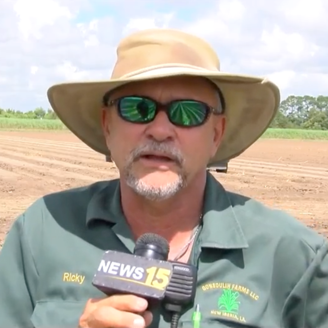 Acadiana Sugarcane Farmers Hopeful Despite Challenges as Planting Season Wraps Up