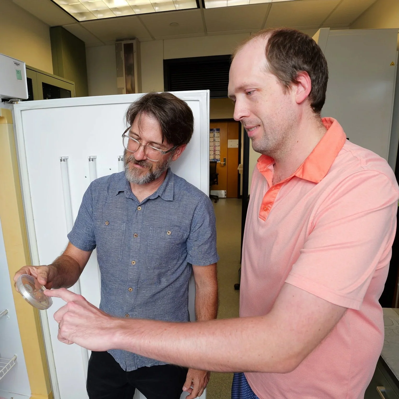 LSU AgCenter Researchers Receive $1.5 Million Grant to Study Hidden Links Among Crop Diseases