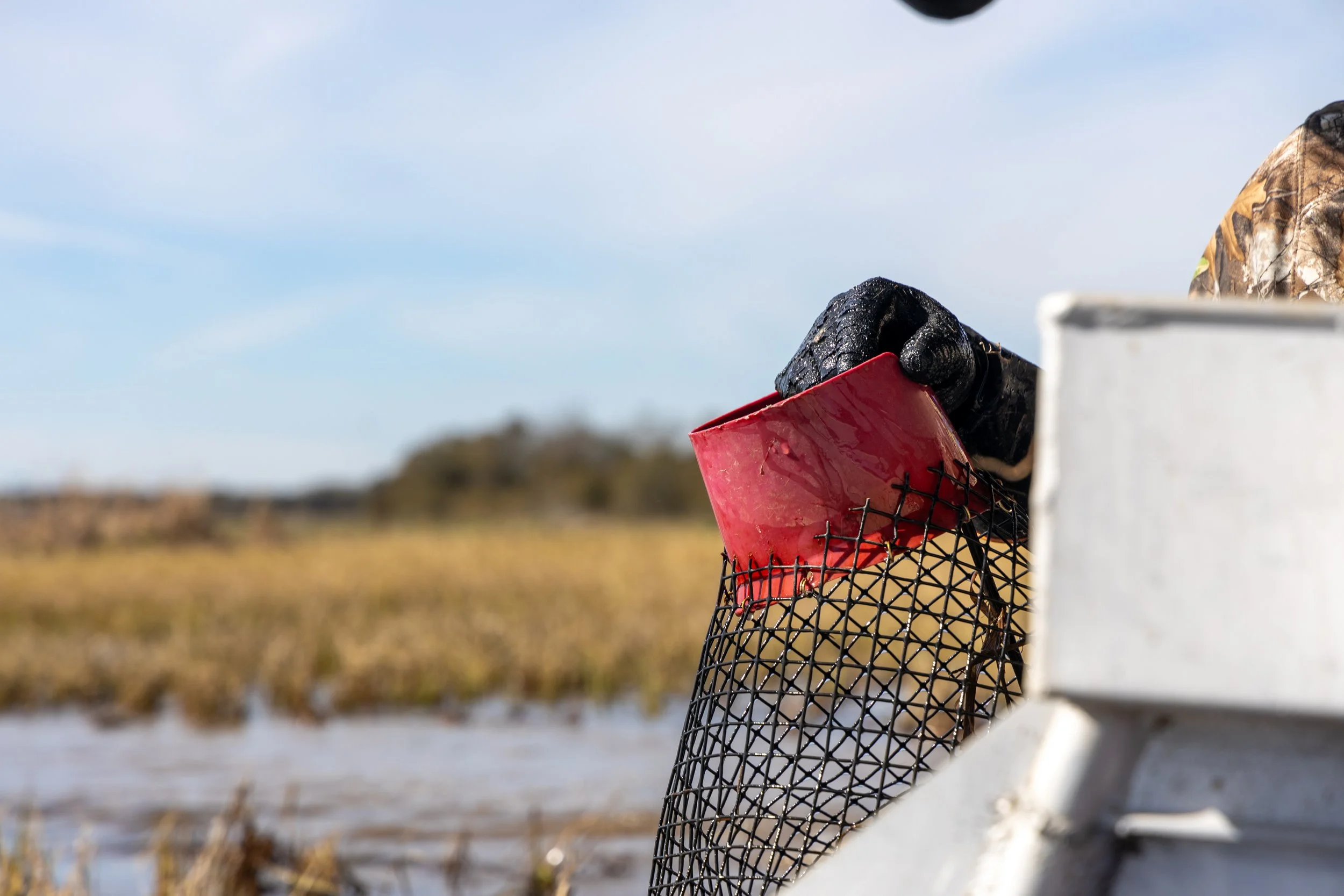 DylanBenoitCrawfish_2025_24.jpg