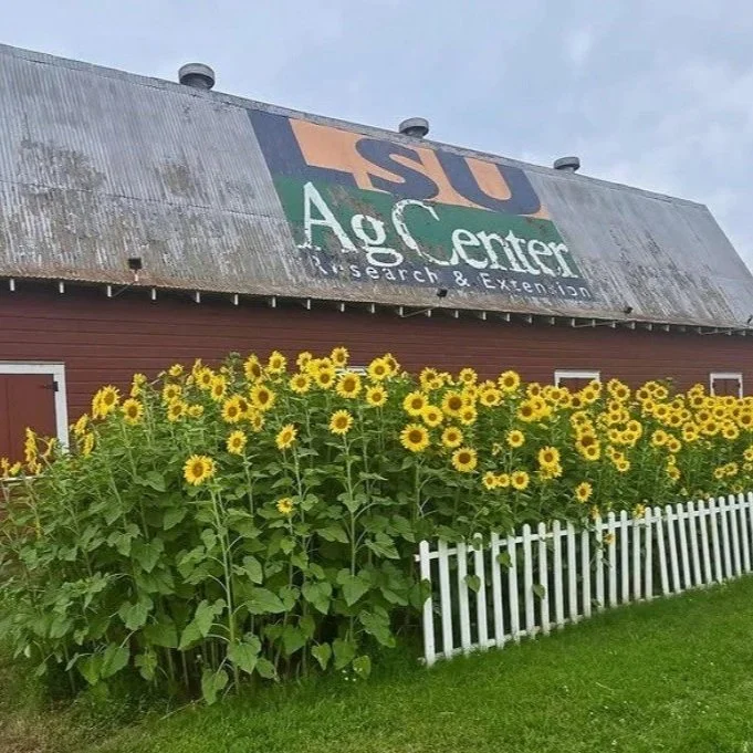 Crop Market Report - September 2026