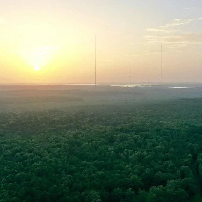 Dove Baiting Drives 141 Citations on Louisiana Season Opener