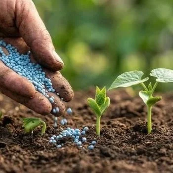 USDA Seeking Information From Farmers About Fertilizer ‘Cartel’ Practices