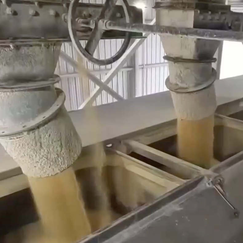 Soybean Crush Growth Reshapes Acres, Prices and Exports