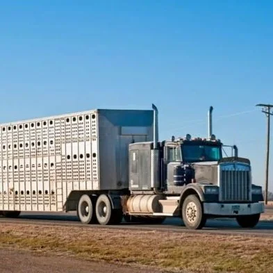 Rising Diesel Costs Pressuring Profitability