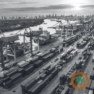 Beef, Pork Export Sales Rise, While Corn, Soybeans Fall