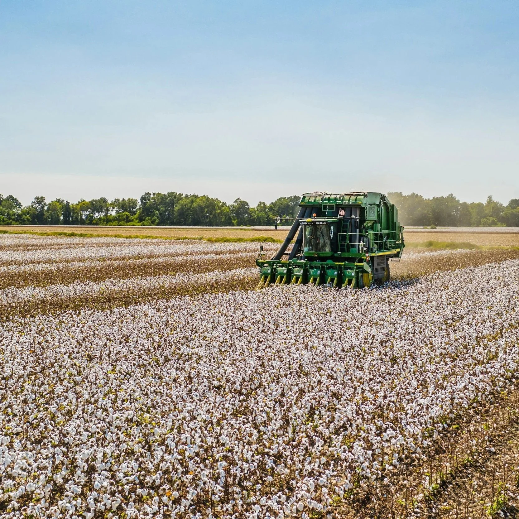 Shurley: What Does This Price Slide Mean?