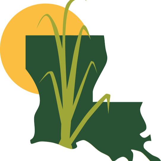 Sugarcane Farmers Thank Governor Landry for Diesel Relief During Harvest
