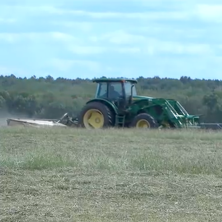 Diesel Costs Add to Expenses for Cattle Producers