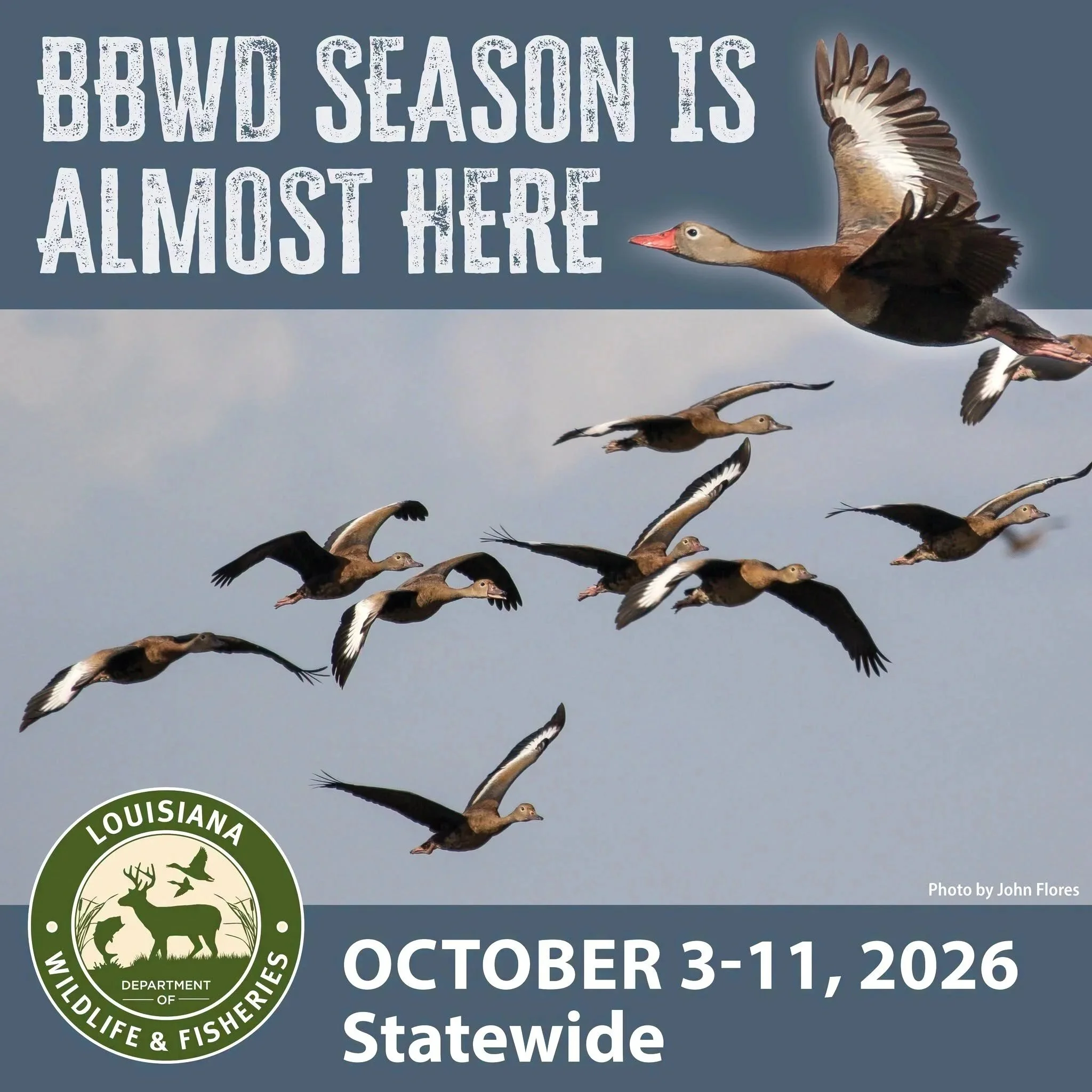 Beginning this Saturday, Louisiana Will Be First State to Institute a Black-bellied Whistling Duck Hunting Season
