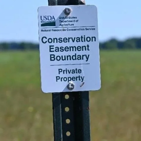 Louisiana NRCS Celebrates Contribution to One Million Acres Restored Through Wetland Reserve Easements