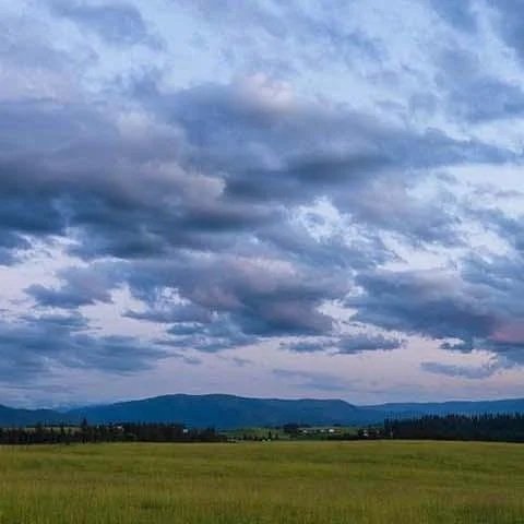  USDA to Invest $5 Million to Help Partners and Producers Restore and Protect Wetlands and Floodplains on Agricultural Lands