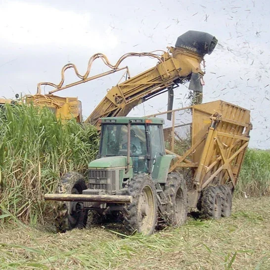 USDA Awards Nearly $75K To Strengthen Sugarcane Bagasse Economy in Lafourche Parish